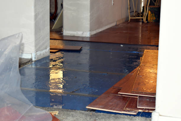 Professional Burst Pipe Cleanup technician working in Porterfield, WI